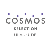 Cosmos Selection Ulan-Ude (ул. Борсоева, 19Б, Улан-Удэ), гостиница в Улан‑Удэ