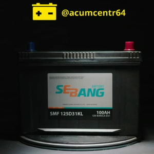 SEBANG ASIA 100Ah