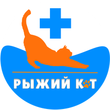 Ryzhiy Kot (Baryshnikova Street, 9), veterinary clinic