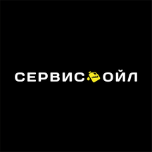 ServisOil (Moscow, Pyatnitskoye Highway, 17к1с1), express oil change