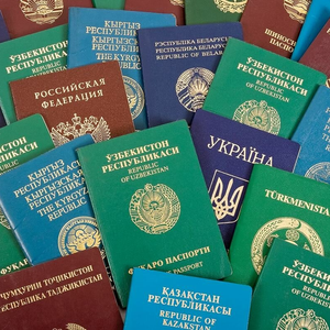 Перевод документов