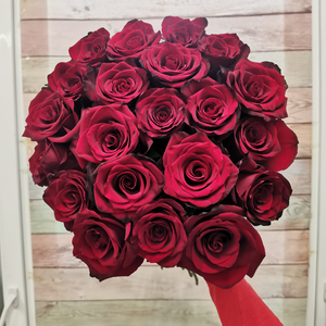 21 роза Эквадор Эксплоер