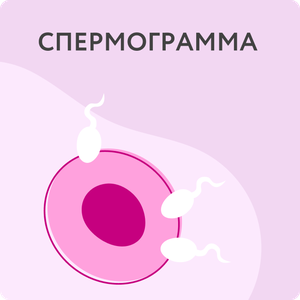 Спермограмма