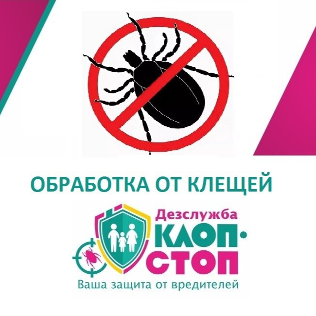 Контакты - Дезинфекционная служба "КЛОП СТОП"