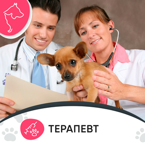 Терапевт-ветеринар