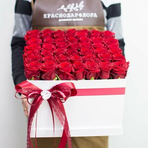 Краснодарфлора квадратная коробка с 49 красными розами