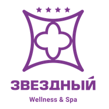 Звёздный Wellness & SPA (ул. Гагарина, 5), гостиница в Сочи