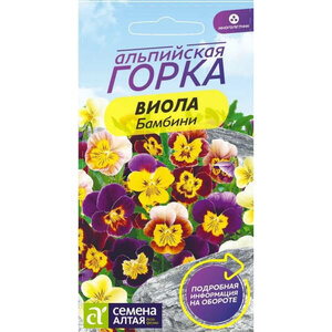 Виола «Бамбини»