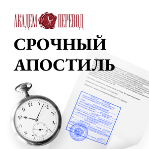 Срочный Апостиль. Помощь в проставлении