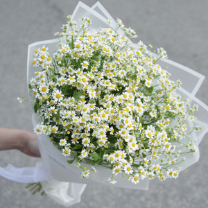 Букет из ромашек