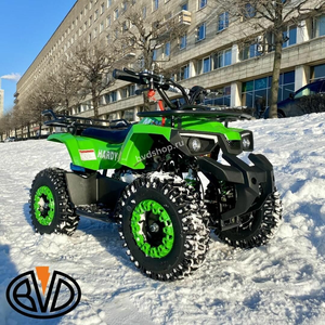 Квадроциклы