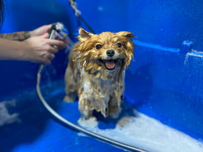 SPA уход