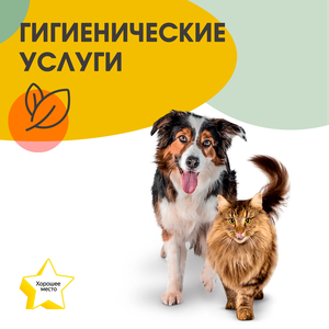 Стрижка когтей кошкам и собакам до 5 кг