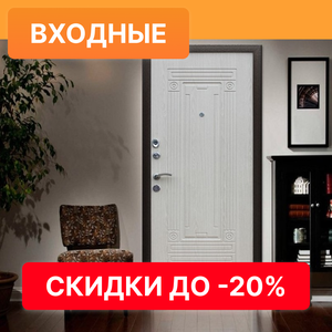 Входные двери