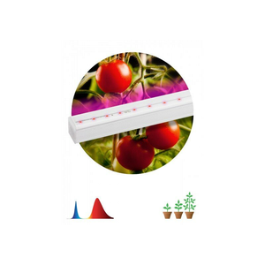 Фитолампы для роста растений 