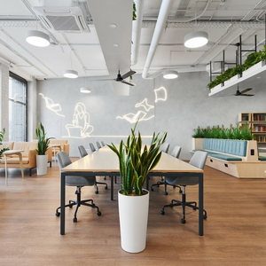 Page Flex 5: место в Open Space на 5 дней в месяц