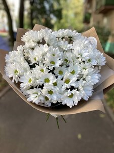 Букет из хризантем ромашками.
