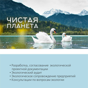 Экологическая отчетность