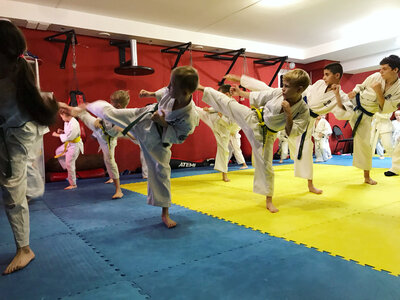 Каратэ WKF