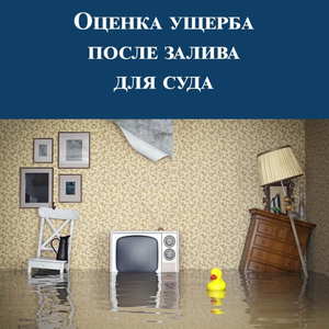 Оценка ущерба от залива