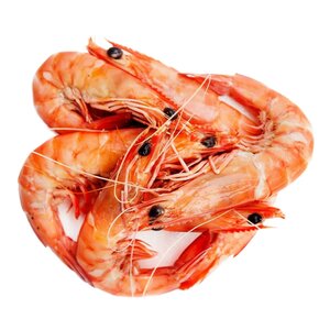 Креветки и лангустины