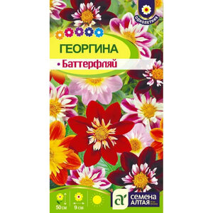 Георгина «Баттерфляй»