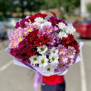 Сборные из хризнтемы