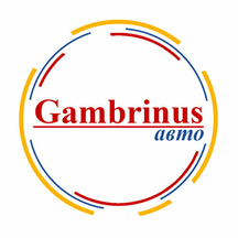 Gambrinus-Авто (Машиностроительная ул., 44, Набережные Челны), автосервис, автотехцентр в Набережных Челнах