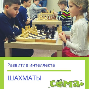 Шахматы