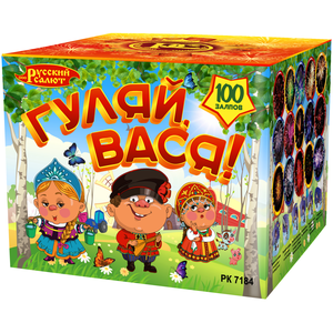 Фейерверк "Гуляй, Вася!"