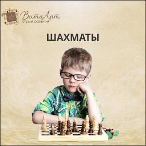 Шахматы