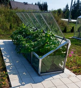 Planter теплица для маленьких растений