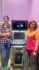 Ультразвуковая диагностика (УЗИ) от 900 до 1200 рублей. 