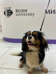 Вакцинация Мультикан