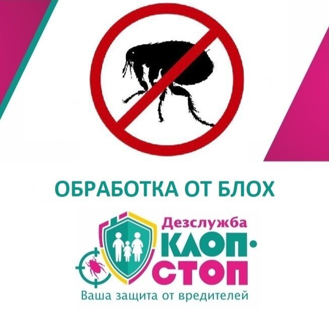Обработка от муравьев - Клоп Стоп - Дезинфекция, дезинсекция, дератизация