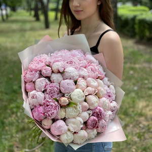 Пионы Sarah Bernard
