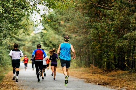 Спортивный дух отеля Владыкино, занятия бегом в парке