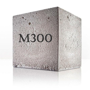 М300