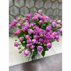 Букет из 25 кустовых роз