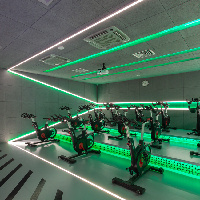 Абонемент X-Fit - купить по выгодной цене на Яндекс Маркете