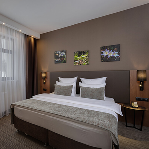 Номер Стандарт Ski Inn Spa 4* Роза Хутор