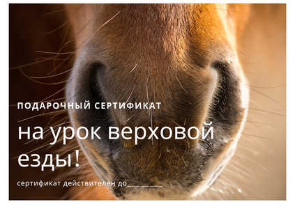 Сертификат на урок верховой езды