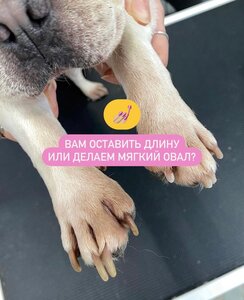 Идеальный когтикюр