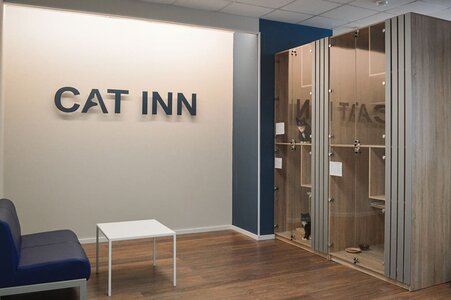 Гостиница Cat Inn