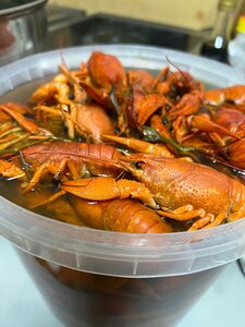 Раки Донские
