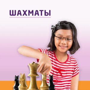 Шахматы в Новокуркино