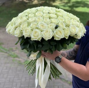 51 белая роза