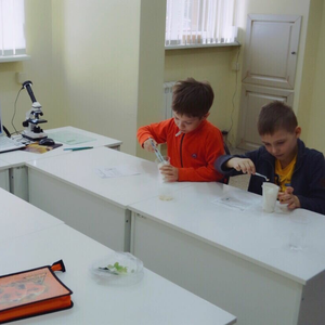 Академия волшебных наук
