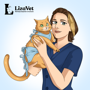 Стерилизация кошки