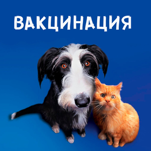 Вакцинация животных